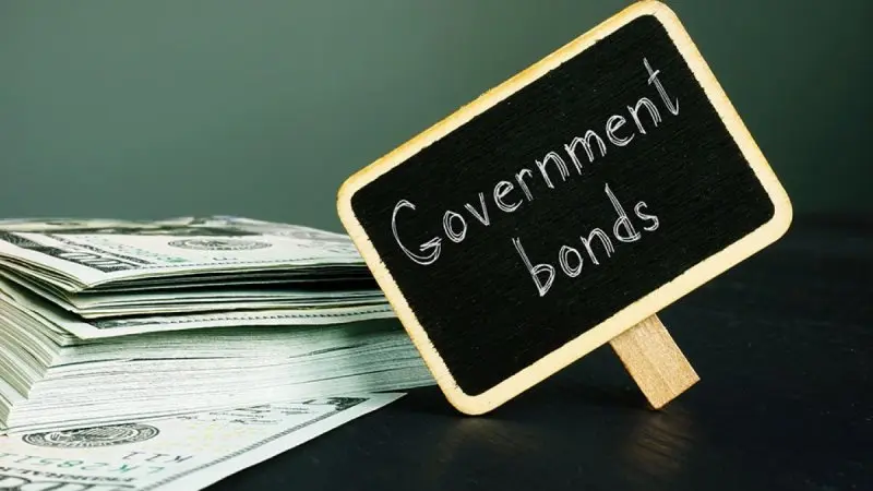 From Nation to Portfolio: Understanding and Investing in Government Bonds